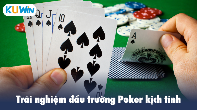 Trải nghiệm đấu trường Poker kịch tính