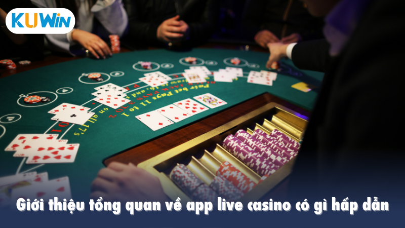 Giới thiệu tổng quan về app live casino có gì hấp dẫn