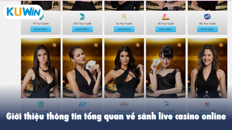 Giới thiệu thông tin tổng quan về sảnh live casino online