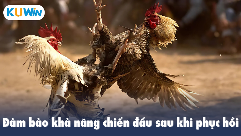 Đảm bảo khả năng chiến đấu sau khi phục hồi