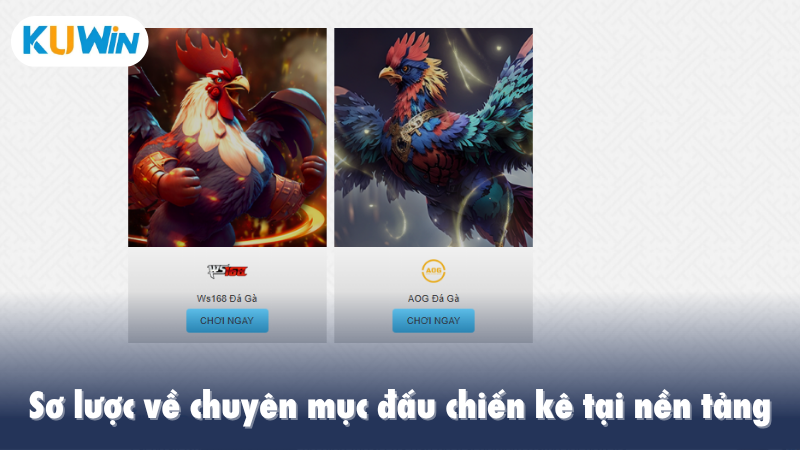 Sơ lược về chuyên mục đấu chiến kê tại nền tảng