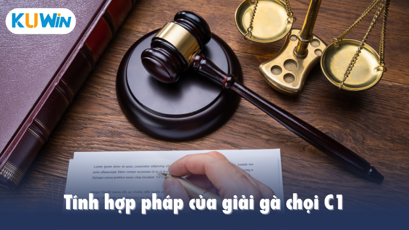 Tính hợp pháp của giải gà chọi C1